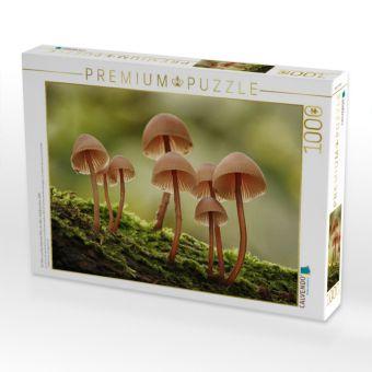 Produktbild: CALVENDO Puzzle Ein Motiv aus dem Kalender Pilze, die stillen Waldbewohner 2019 | 1000 Teile Lege-Gr&ouml;&szlig;e 64x48cm Foto-Puzzle f&uuml;r gl&uuml;ckliche Stunden
