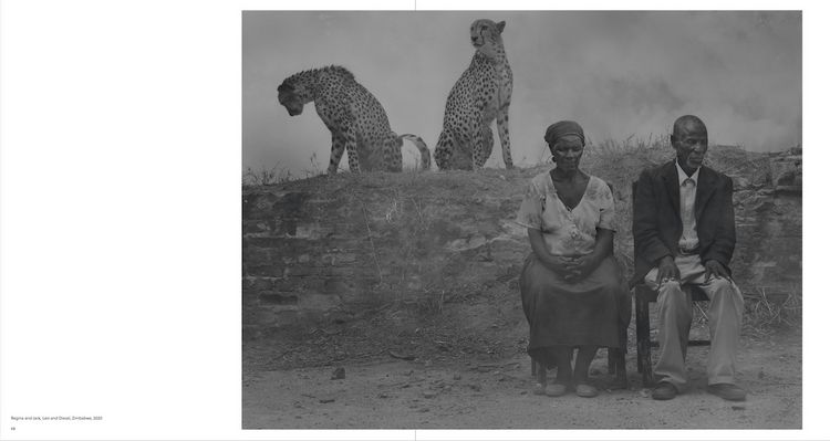 Produktbild: Nick Brandt