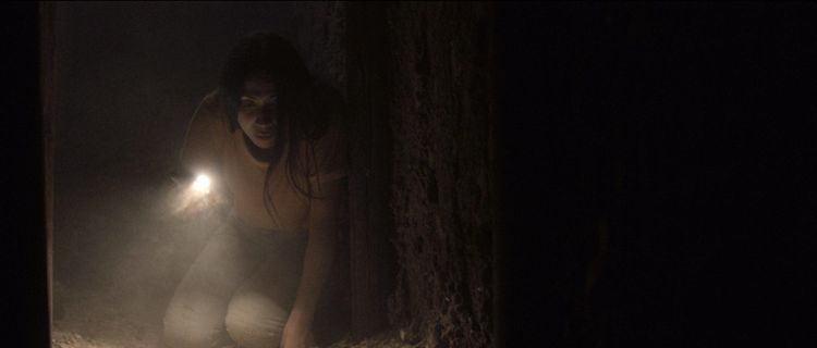 Produktbild: Safehouse - Die Rache des Kartells