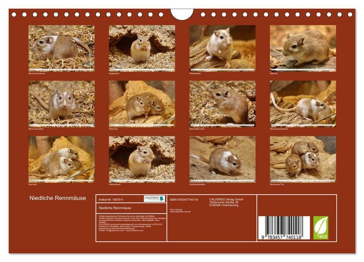 Produktbild: Niedliche Rennm&auml;use (Wandkalender 2026 DIN A4 quer), CALVENDO Monatskalender