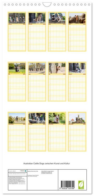 Produktbild: Familienplaner 2026 - Australian Cattle Dogs zwischen Kunst und Kultur mit 5 Spalten (Wandkalender, 21 x 45 cm) CALVENDO