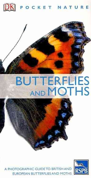 Produktbild: Butterflies and Moths