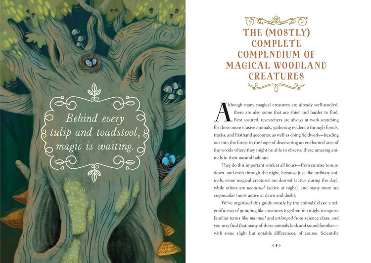 Produktbild: How to Spot a Magical Woodland Creature