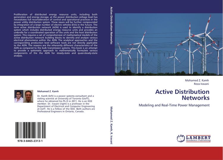 Produktbild: Active Distribution Networks