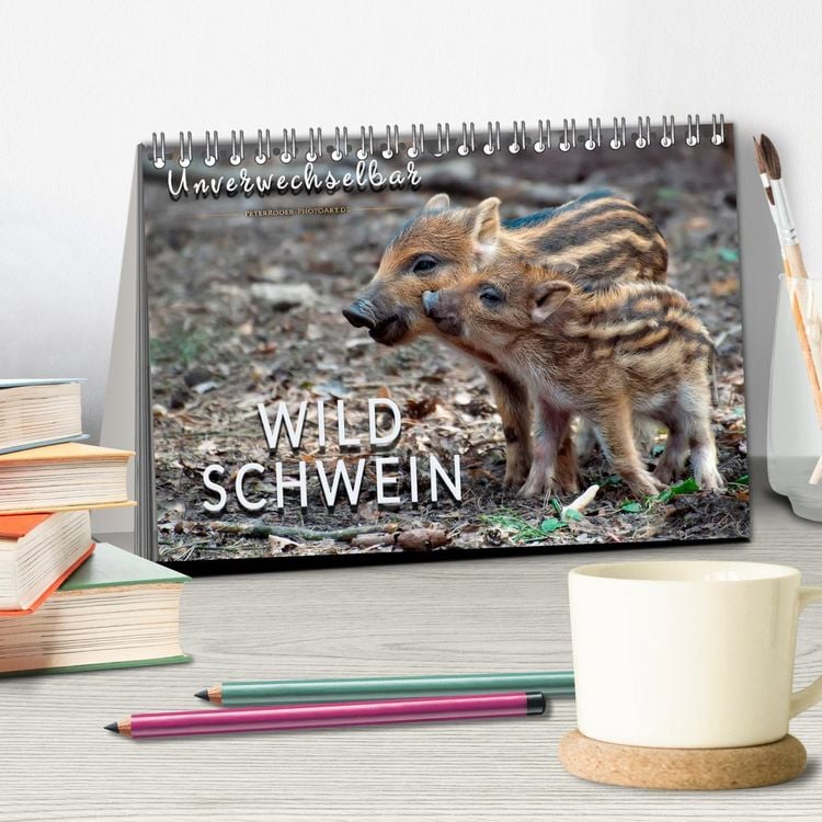 Produktbild: Unverwechselbar - Wildschwein (Tischkalender 2026 DIN A5 quer), CALVENDO Monatskalender