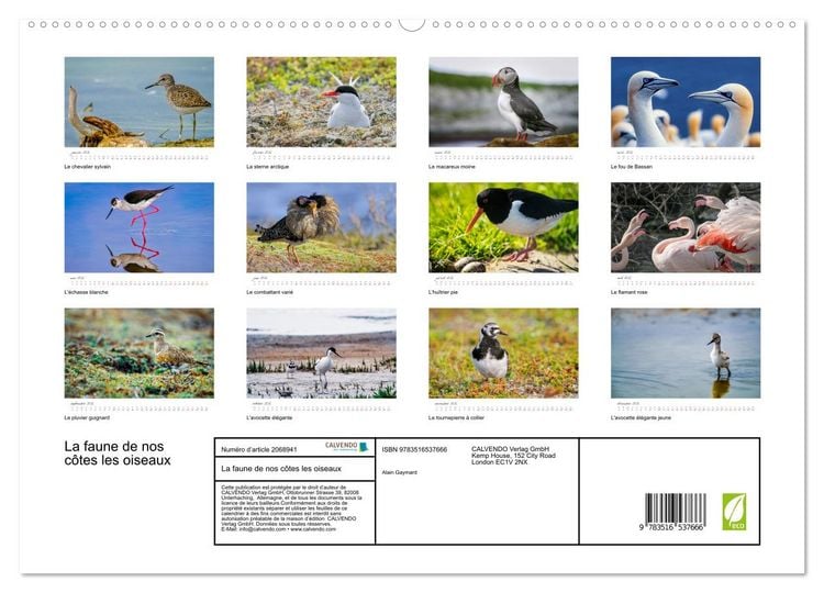 Produktbild: La faune de nos c&ocirc;tes les oiseaux (Calendrier mural 2026 DIN A2 vertical) calendrier de bureau