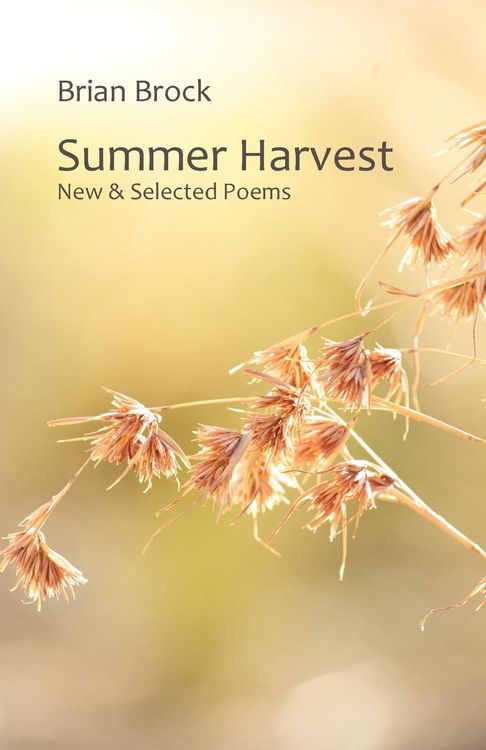 Produktbild: Summer Harvest