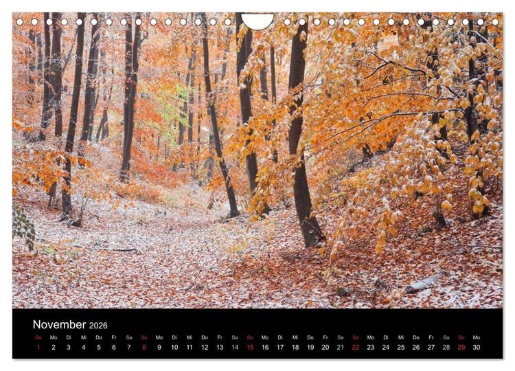 Produktbild: Landschaft im Licht (Wandkalender 2026 DIN A4 quer), CALVENDO Monatskalender