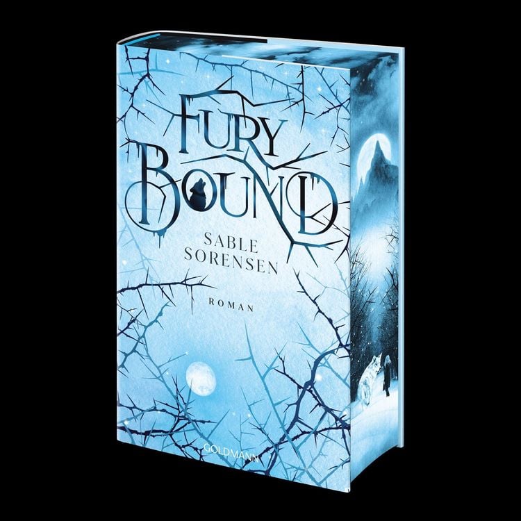 Produktbild: Fury Bound