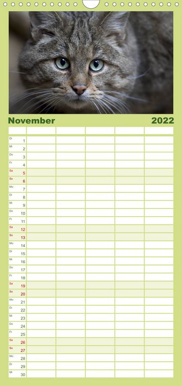 Produktbild: Familienplaner Weltnaturerbe Hainich (Wandkalender 2022 , 21 cm x 45 cm, hoch)