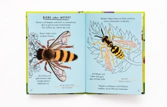 Produktbild: Hallo Insekten