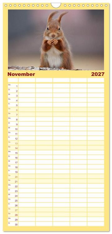 Produktbild: Familienplaner 2027 - Eichh&ouml;rnchen in zauberhaften Posen mit 5 Spalten (Wandkalender, 21 x 45 cm) CALVENDO