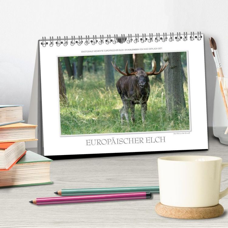 Produktbild: Emotionale Momente: Europ&auml;ischer Elch. (Tischkalender 2027 DIN A5 quer), CALVENDO Monatskalender