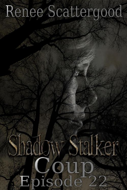 Produktbild: Shadow Stalker: Coup (Episode 22)
