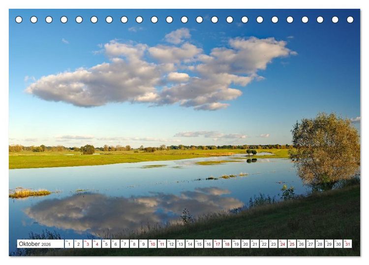 Produktbild: Wildes Wendland (Tischkalender 2026 DIN A5 quer), CALVENDO Monatskalender
