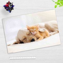 Produktbild: Cover-your-desk Schreibtischunterlage f&uuml;r Kinder und Erwachsene Freundschaft zwischen Katze und Hund, aus hochwertigem Vinyl , 60 x 40 cm