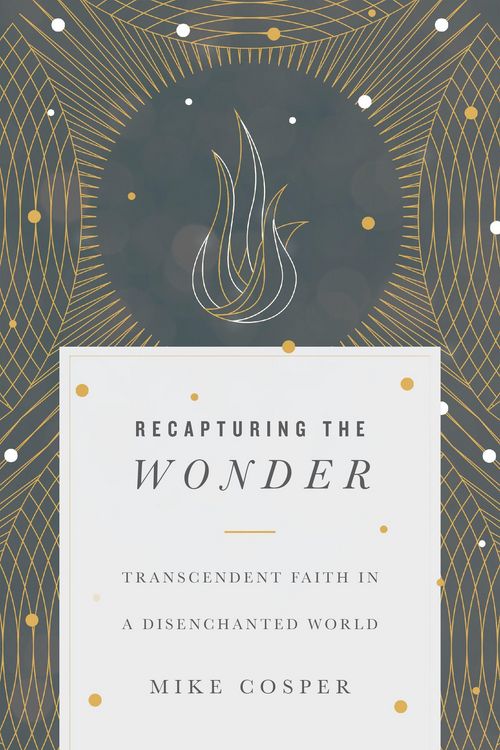 Produktbild: Recapturing the Wonder