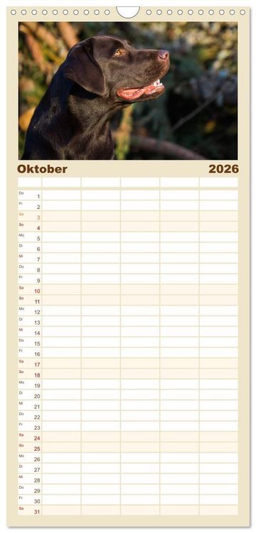 Produktbild: Familienplaner 2026 - Labrador Retriever - Freunde f&uuml;r&acute;s Leben mit 5 Spalten (Wandkalender, 21 x 45 cm) CALVENDO