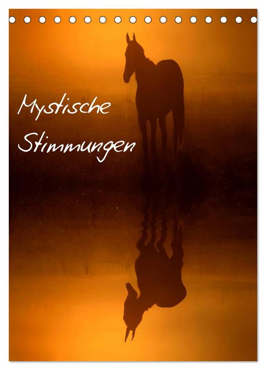 Produktbild: Mystische Stimmungen (Tischkalender 2026 DIN A5 hoch), CALVENDO Monatskalender