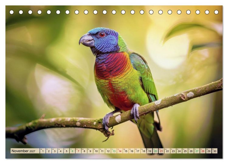 Produktbild: Die buntesten Tiere - Weltweit (Tischkalender 2027 DIN A5 quer), CALVENDO Monatskalender