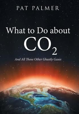 Produktbild: What to Do About Co2