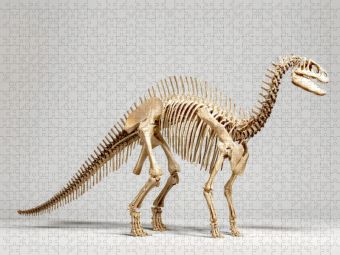 Produktbild: CALVENDO Puzzle Dinosaurier Iguanodon-Skelett mit langer Schwanzachse und Daumenkralle | 1000 Teile Lege-Gr&ouml;&szlig;e 64x48cm Foto-Puzzle f&uuml;r gl&uuml;ckliche Stun
