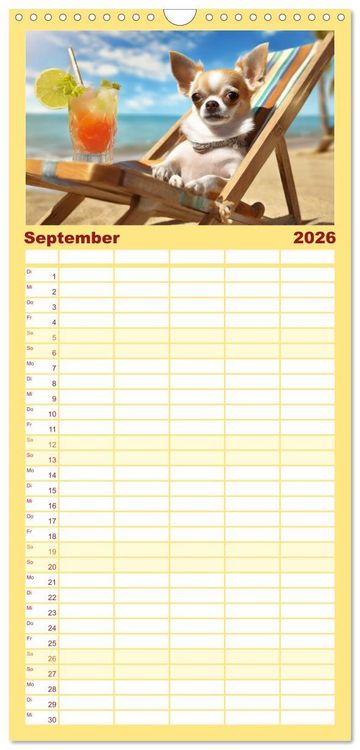 Produktbild: Familienplaner 2026 - Chillige Chihuahuas - Entspannte Fellnasen genie&szlig;en das Leben mit 5 Spalten (Wandkalender, 21 x 45 cm) CALVENDO