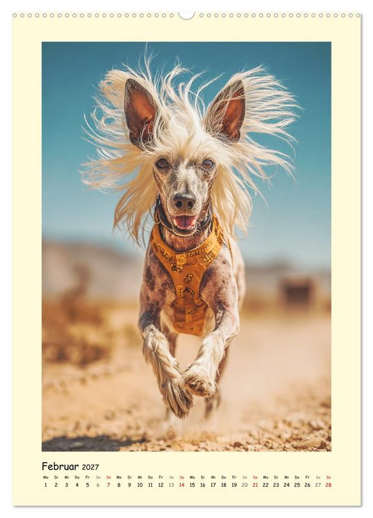 Produktbild: Charme und Grazie. Die Anmut der Chinesischen Schopfhunde (hochwertiger Premium Wandkalender 2027 DIN A2 hoch), Kunstdruck in Hochglanz