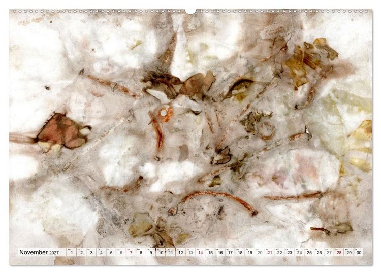 Produktbild: Botanical Printing - Magische Pflanzendrucke (hochwertiger Premium Wandkalender 2027 DIN A2 quer), Kunstdruck in Hochglanz