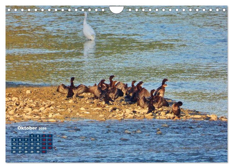 Produktbild: Herrliches Arno Tal - Wanderurlaub in der Toskana (Wandkalender 2026 DIN A4 quer), CALVENDO Monatskalender
