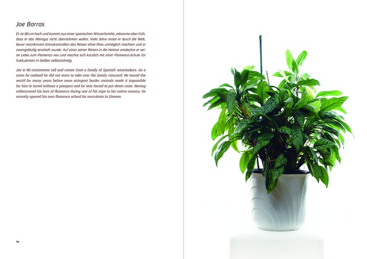 Produktbild: Urban Plants