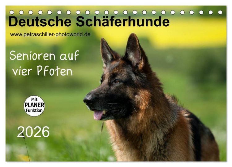 Produktbild: Deutsche Sch&auml;ferhunde - Senioren auf vier Pfoten (Tischkalender 2026 DIN A5 quer), CALVENDO Monatskalender