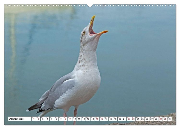 Produktbild: Faszinierende Ansichten von Cornwall (hochwertiger Premium Wandkalender 2026 DIN A2 quer), Kunstdruck in Hochglanz