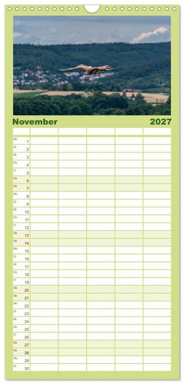 Produktbild: Familienplaner 2027 - Greifv&ouml;gel in Aktion - Dynamische Flugbilder und Portr&auml;ts mit 5 Spalten (Wandkalender, 21 x 45 cm) CALVENDO