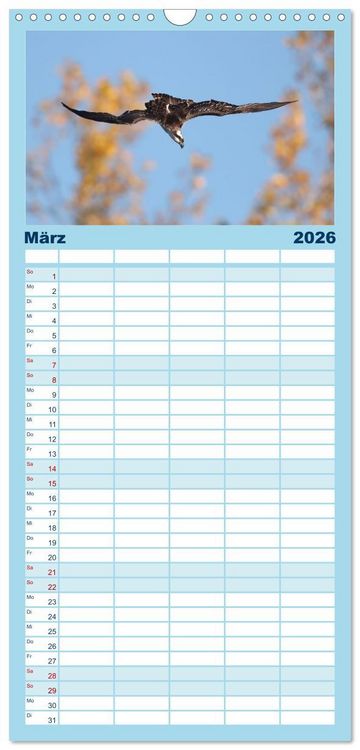 Produktbild: Familienplaner 2026 - Fischadler - Meister des Sturzfluges mit 5 Spalten (Wandkalender, 21 x 45 cm) CALVENDO