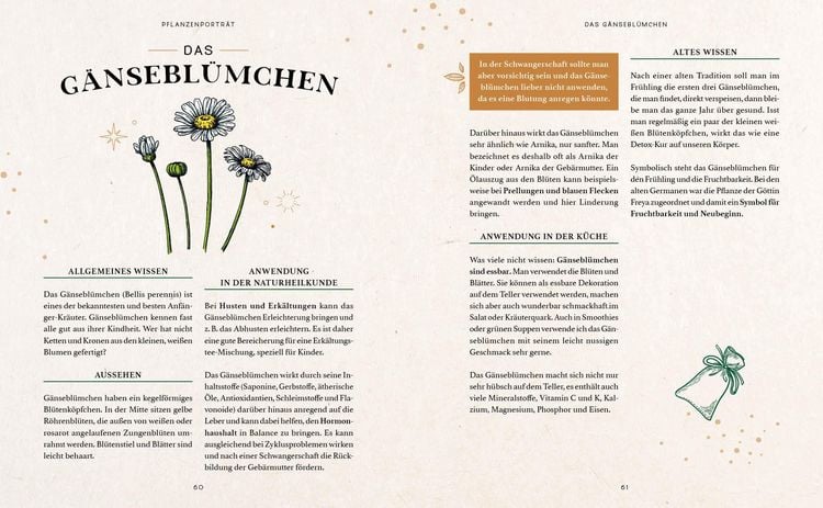 Produktbild: Zaubernuss und Waldmagie – Naturmomente für deine Seele
