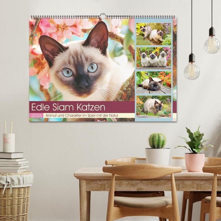 Produktbild: Edle Siamkatzen. Anmut und Charakter im Spiel mit der Natur (Wandkalender 2026 DIN A2 quer), CALVENDO Monatskalender