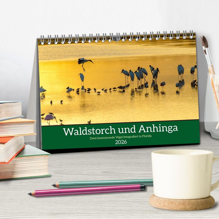 Produktbild: Waldstorch und Anhinga (Tischkalender 2026 DIN A5 quer), CALVENDO Monatskalender