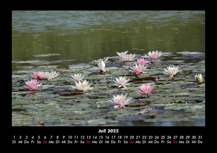 Produktbild: Seeblick 2025 Fotokalender DIN A3