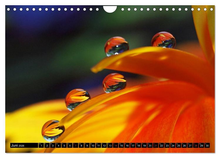 Produktbild: Wassertropfen - Diamanten des Lebens (Wandkalender 2026 DIN A4 quer), CALVENDO Monatskalender