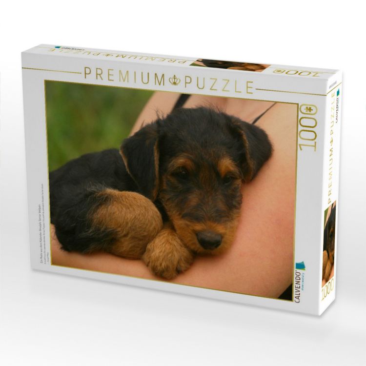 Produktbild: CALVENDO Puzzle Ein Motiv aus dem Kalender Airedale Terrier Welpen | 1000 Teile Lege-Gr&ouml;&szlig;e 64x48cm Foto-Puzzle f&uuml;r gl&uuml;ckliche Stunden