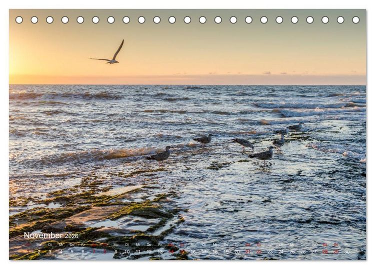 Produktbild: Flandern - Stadt und Strand (Tischkalender 2026 DIN A5 quer), CALVENDO Monatskalender