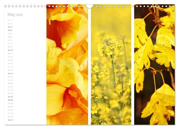 Produktbild: Natural Trios (Wall Calendar 2026 DIN A3 landscape), CALVENDO 12 Month Wall Calendar