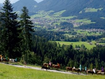 Produktbild: CALVENDO Puzzle Auf dem Weg durch das "S&ouml;lllandl" | 1000 Teile Lege-Gr&ouml;&szlig;e 64x48cm Foto-Puzzle f&uuml;r gl&uuml;ckliche Stunden