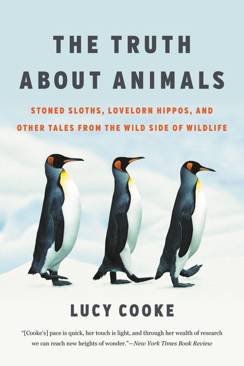 Produktbild: The Truth about Animals