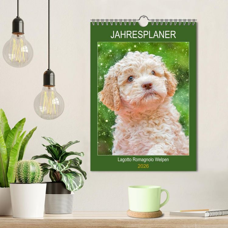 Produktbild: Jahresplaner Lagotto Romagnolo Welpen (Wandkalender 2026 DIN A4 hoch), CALVENDO Monatskalender