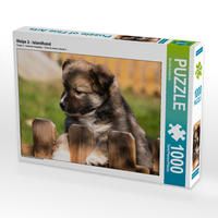 Produktbild: CALVENDO Puzzle Welpe 2 - Islandhund 1000 Teile Lege-Gr&ouml;&szlig;e 64 x 48 cm Foto-Puzzle Bild von Monika Scheurer