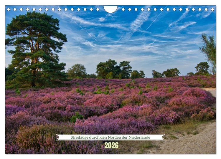 Produktbild: Streifz&uuml;ge durch den Norden der Niederlande (Wandkalender 2026 DIN A4 quer), CALVENDO Monatskalender