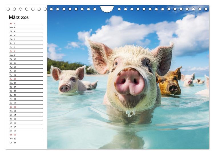Produktbild: Schweinereien in der Karibik. Sonne und Spa&szlig; mit schwimmenden Schweinen (Wandkalender 2026 DIN A4 quer), CALVENDO Monatskalender