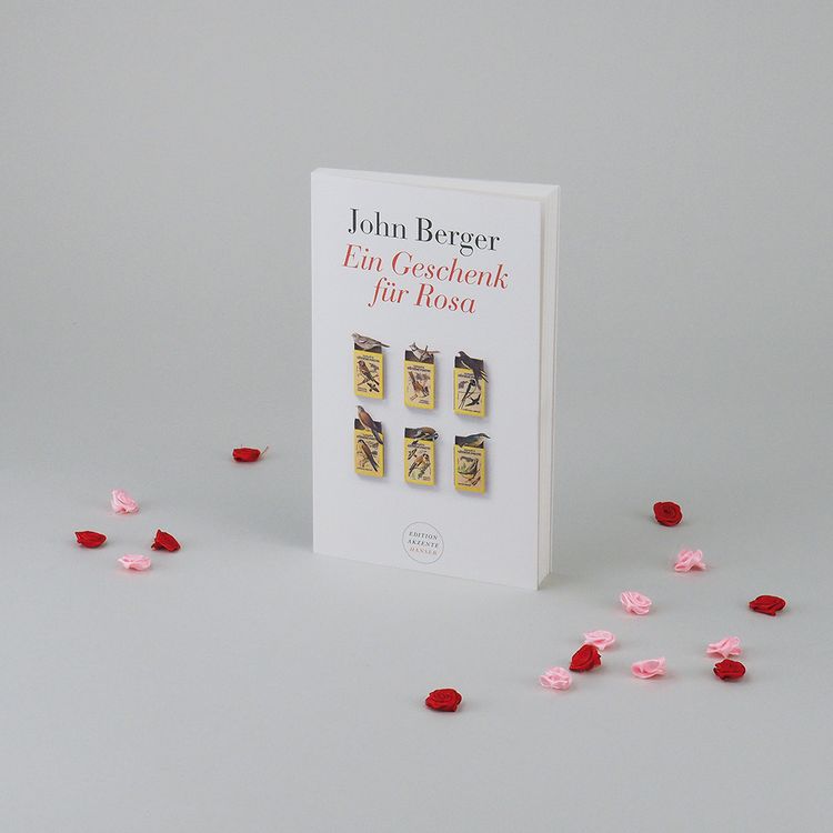 Produktbild: Ein Geschenk f&uuml;r Rosa